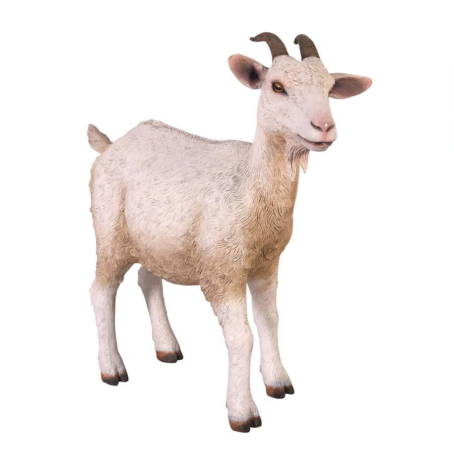 Fiberglass Goat - Click Image to Close