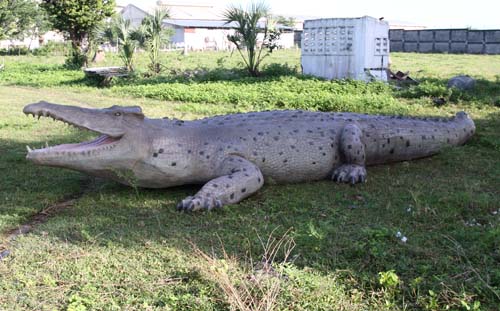 Large Life Size Crocodile Statue 28 ft. - Click Image to Close