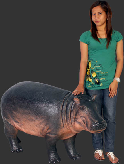 Baby Hippopotamus - Click Image to Close