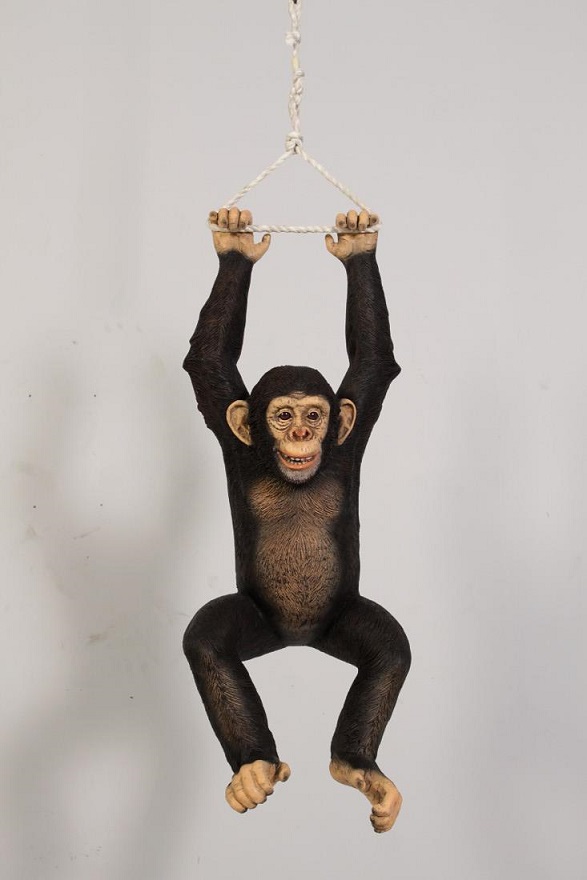 Hanging Chimpanzee - Click Image to Close