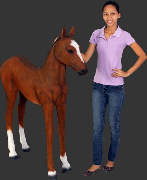 Foal - Click Image to Close