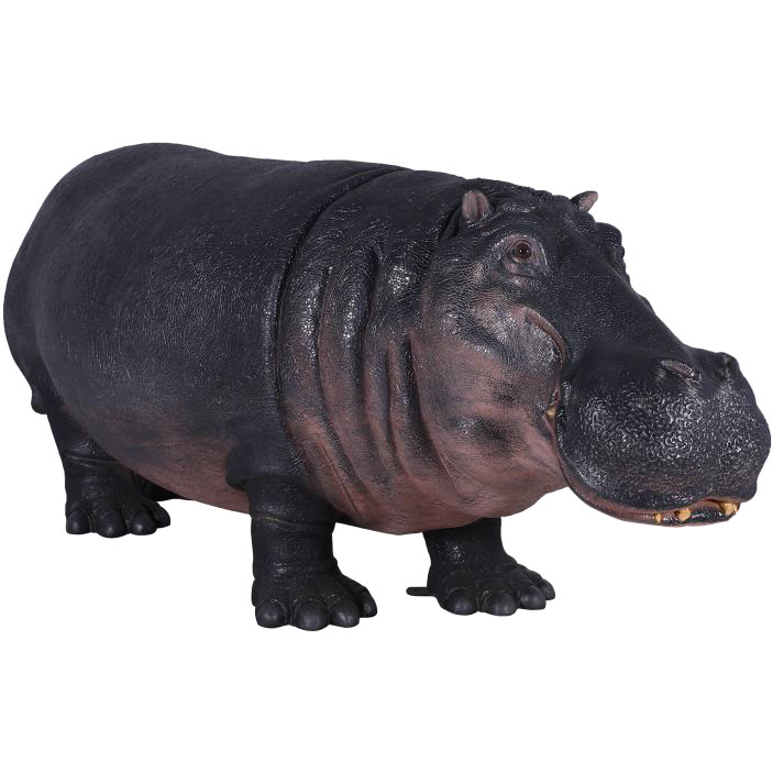 Hippopotamus - New - Click Image to Close