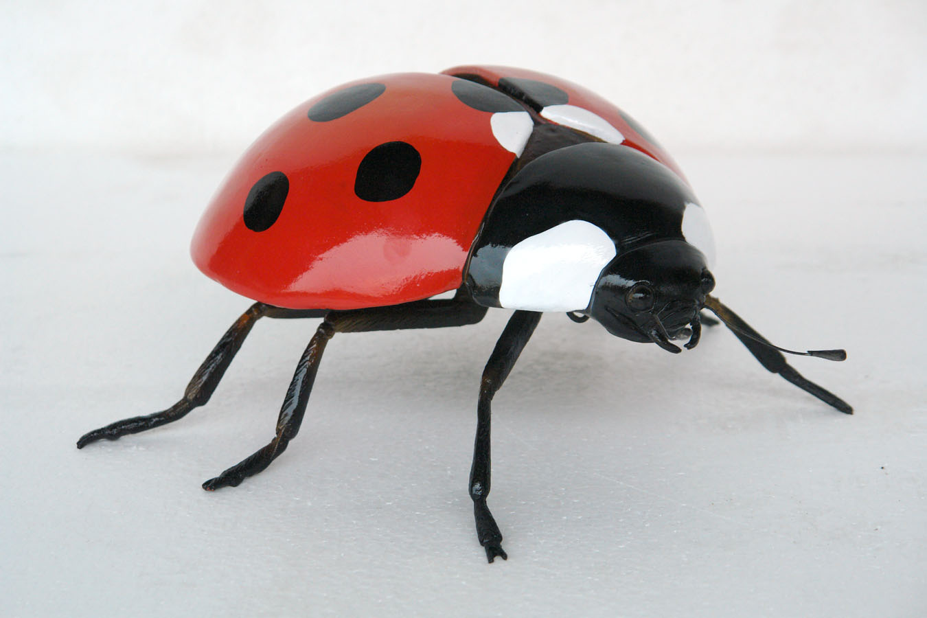 Ladybug Beetle - Click Image to Close