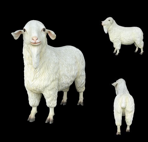 Tibetan Sheep 3ft. - Click Image to Close