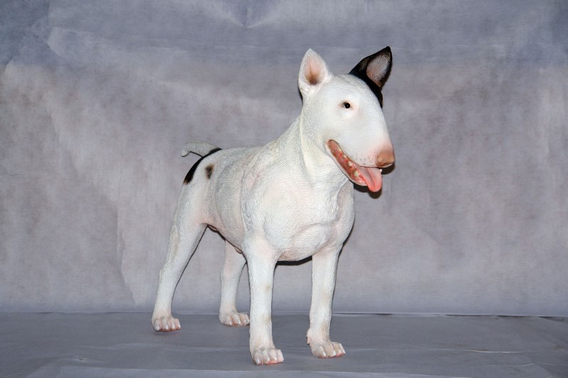 Bull Terrier Dog - Click Image to Close