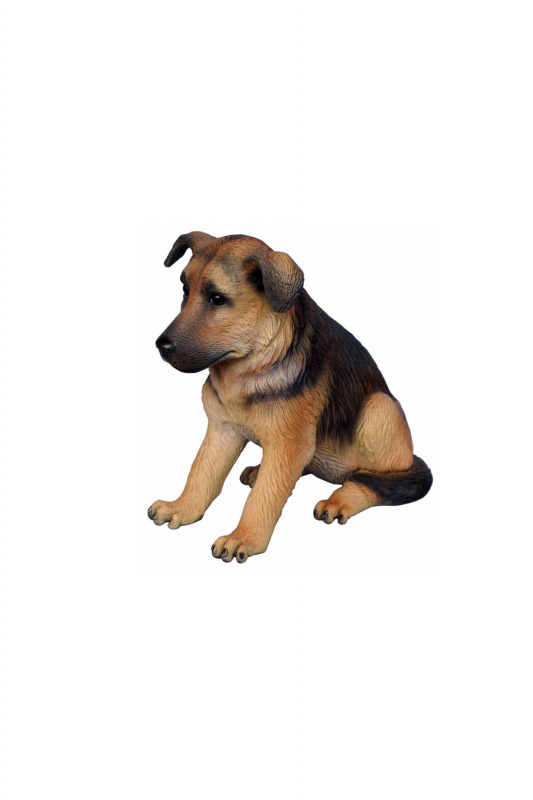 Shepherd Puppy - Click Image to Close