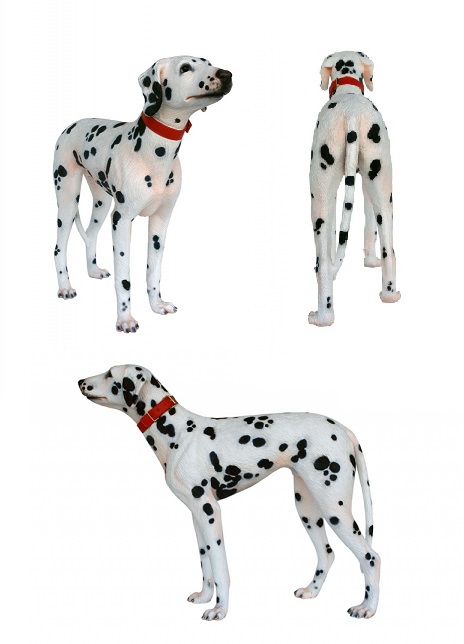 Dalmatian Dog - Click Image to Close