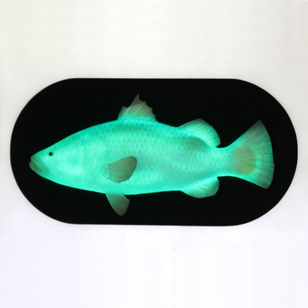 Fish Wall Decor with LED - Click Image to Close