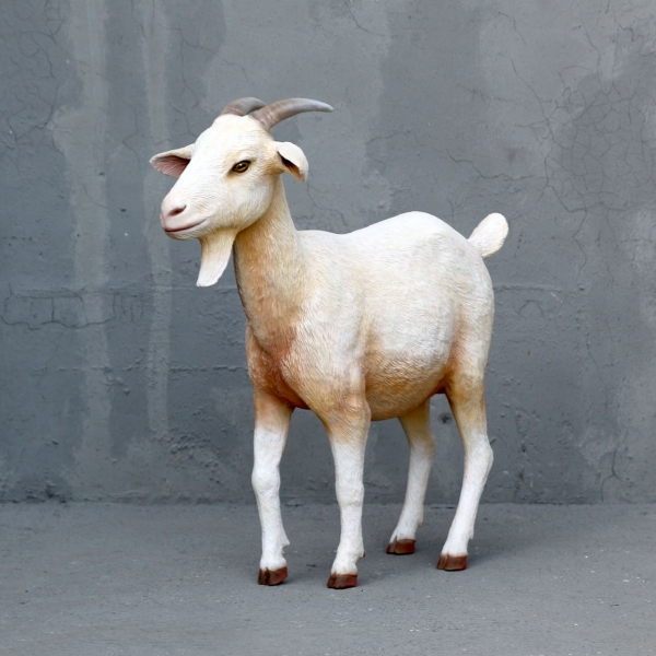 Cream Goat - Click Image to Close