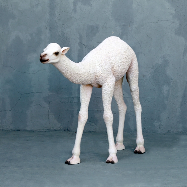 Baby Camel Statue - Click Image to Close