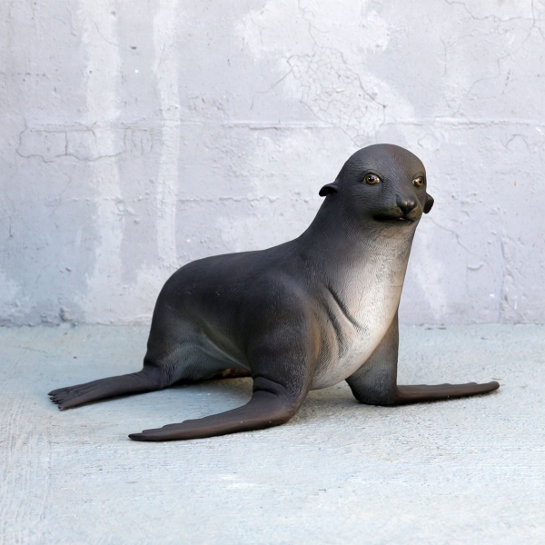 Baby Fur Seal - Click Image to Close