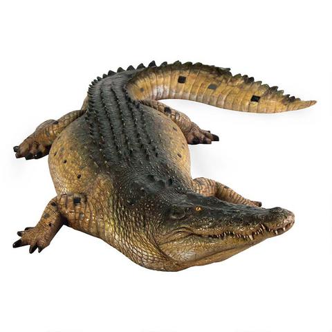 Crocodile 12ft. / Fiberglass - Click Image to Close