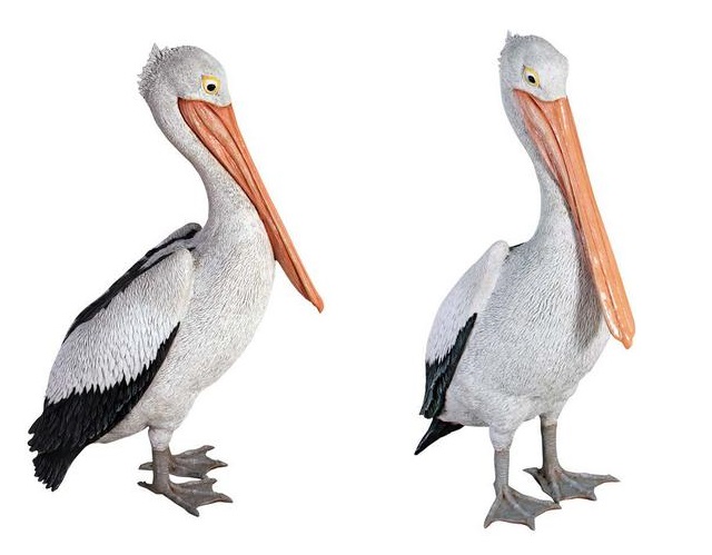 Standing Pelican / Fiberglass - Click Image to Close