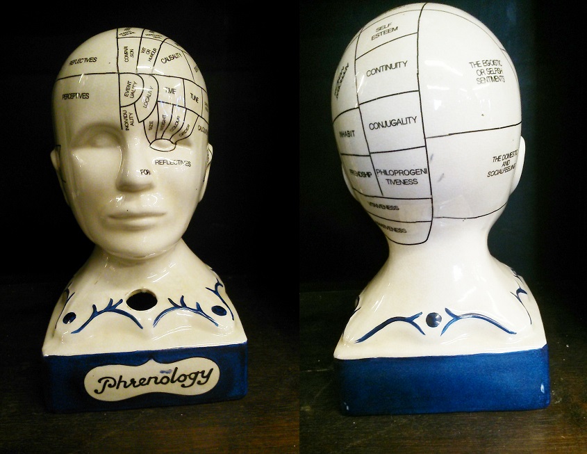 Phrenology Head Statue - Click Image to Close