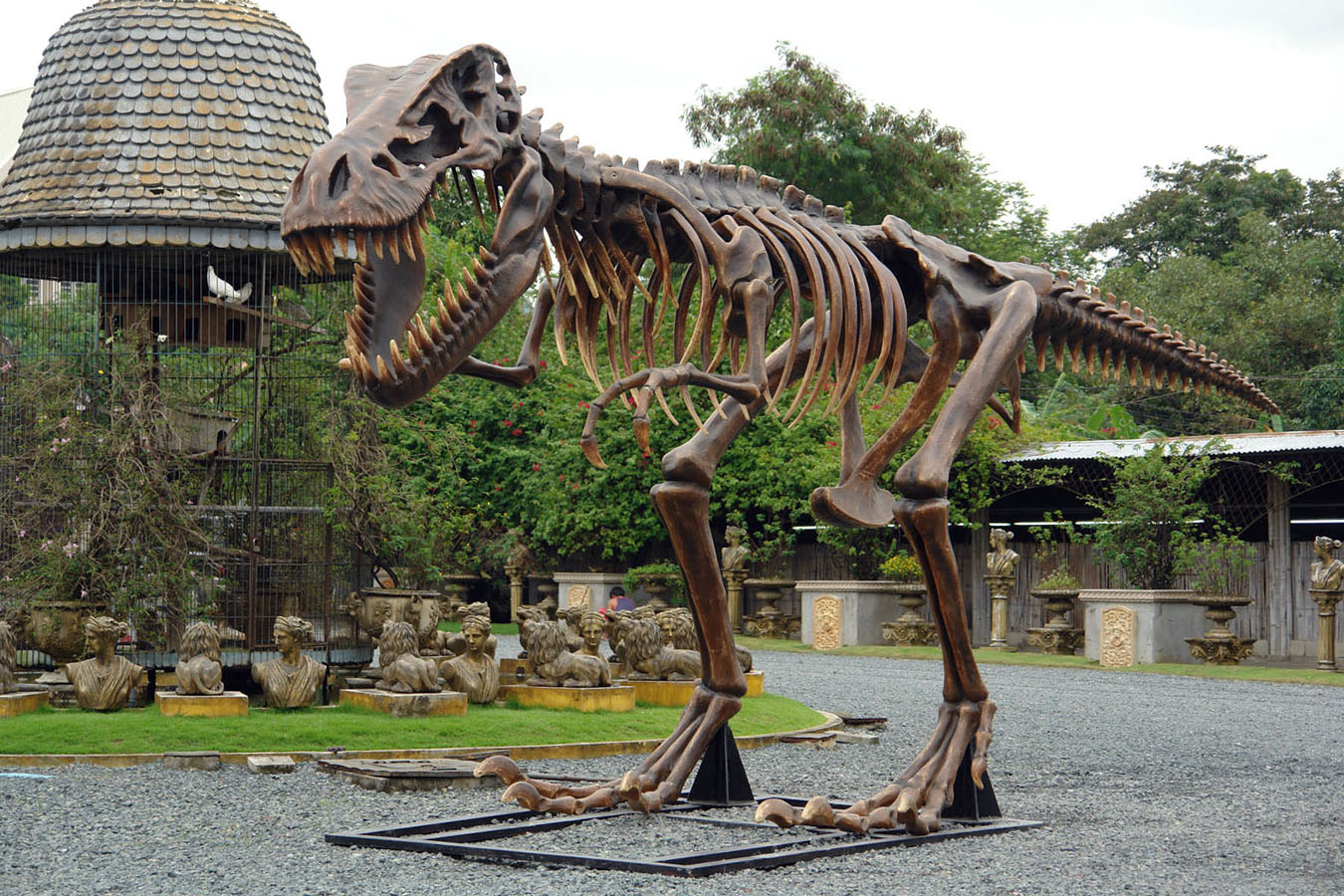 T-Rex Skeleton - Click Image to Close