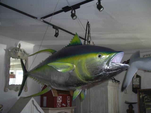 Yellowfin Tuna - Click Image to Close