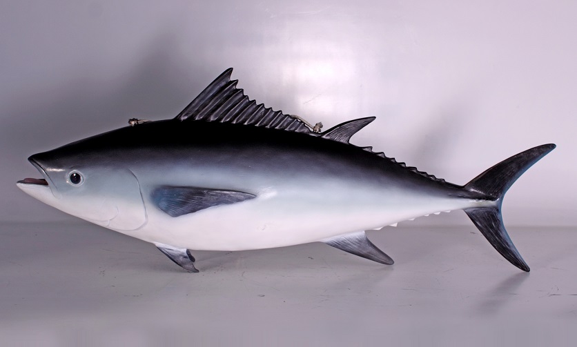 Tuna Fish - Click Image to Close