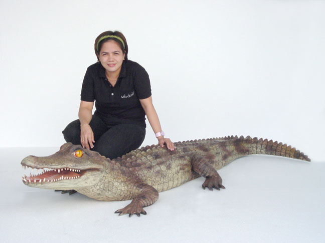 Cayman Alligator / 6.5 ft. Long wild life statue such us eagle elephant deer bear alligator crocodile black angus 