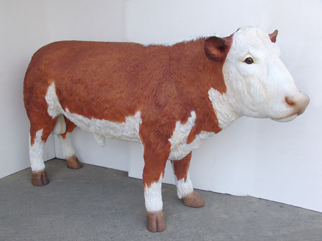 Hereford Bull (Brown-White Angus Bull) - Click Image to Close