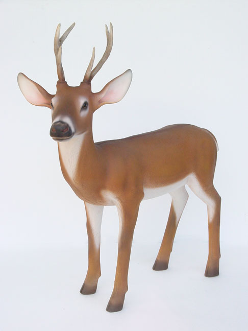 Buck