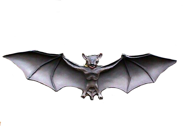 Bat