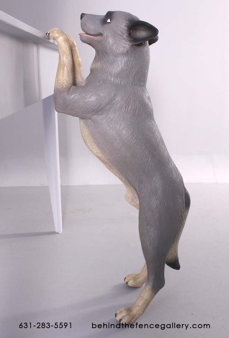 Standing Blue Heeler Statue - Click Image to Close