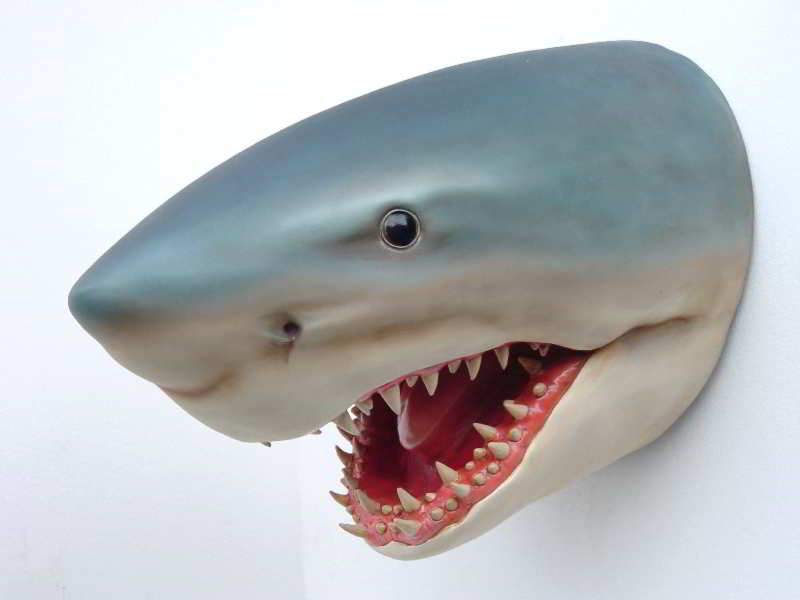 Shark Head - Click Image to Close