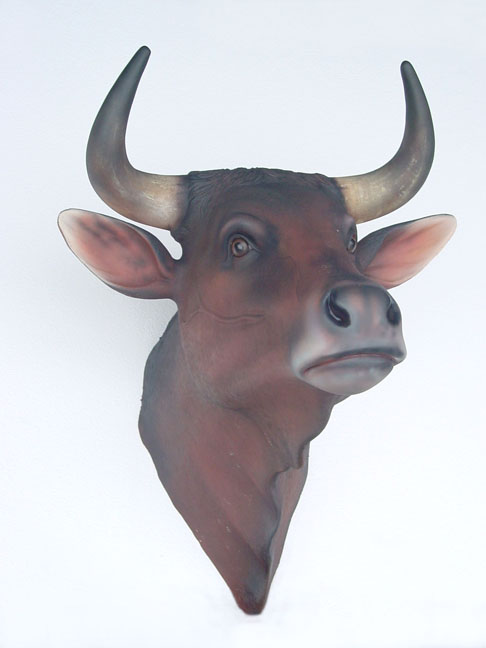 Bull Head - Click Image to Close