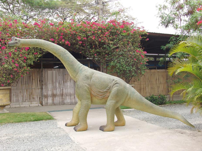 Baby Brachiosaurus - Click Image to Close