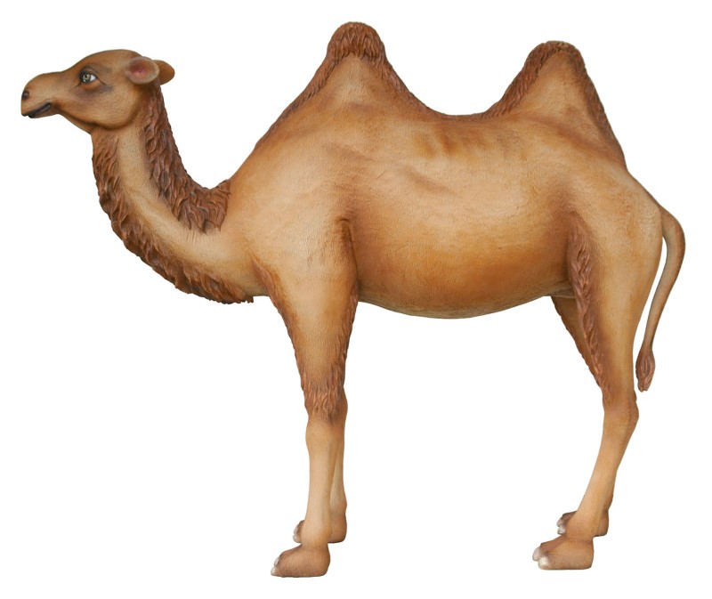 Camel (7 Ft. Tall) - Click Image to Close