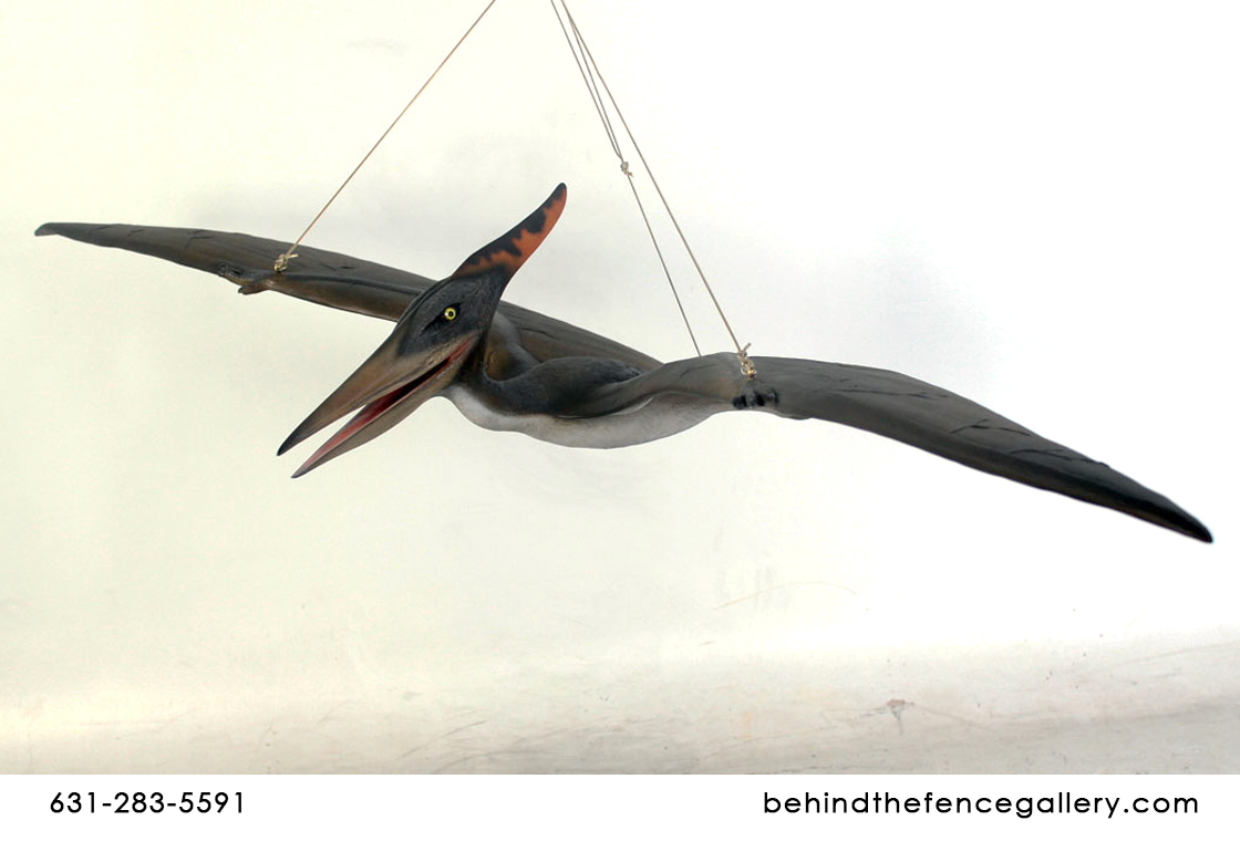 Baby Pteranodon Statue - Click Image to Close