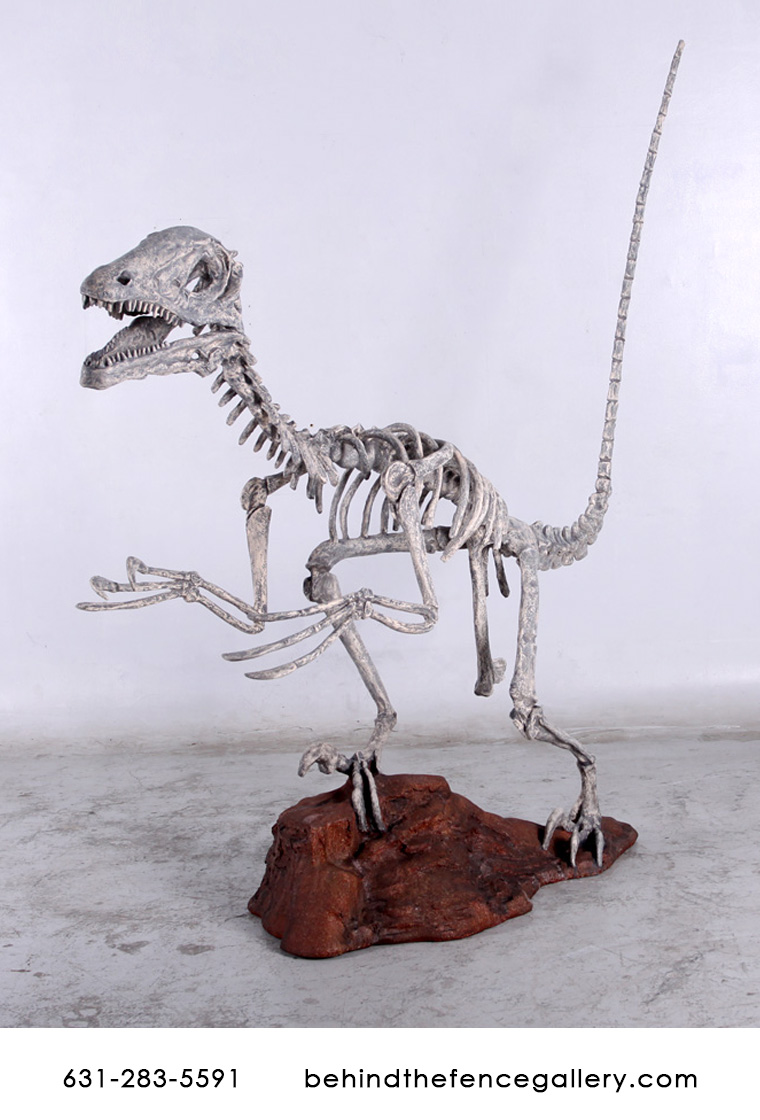 Deinonychus Skeleton Statue - Click Image to Close