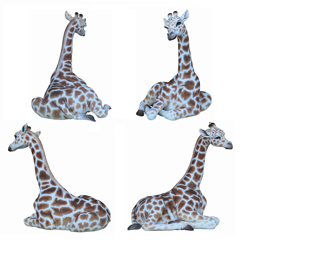 Giraffe Sitting - Click Image to Close