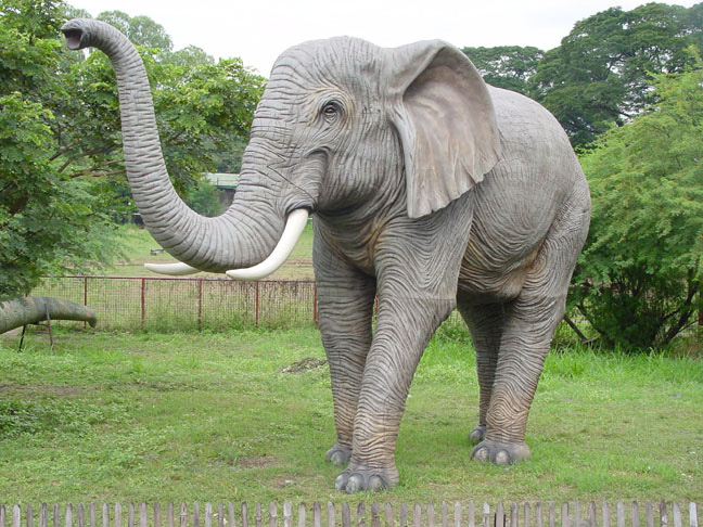 Elephant-Long-Trunk