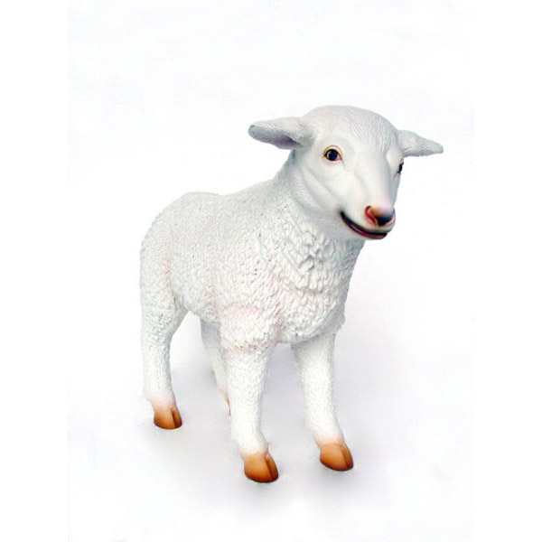 Baby Lamb - Click Image to Close