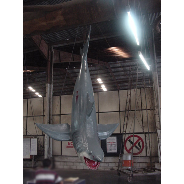 large shark pictures
