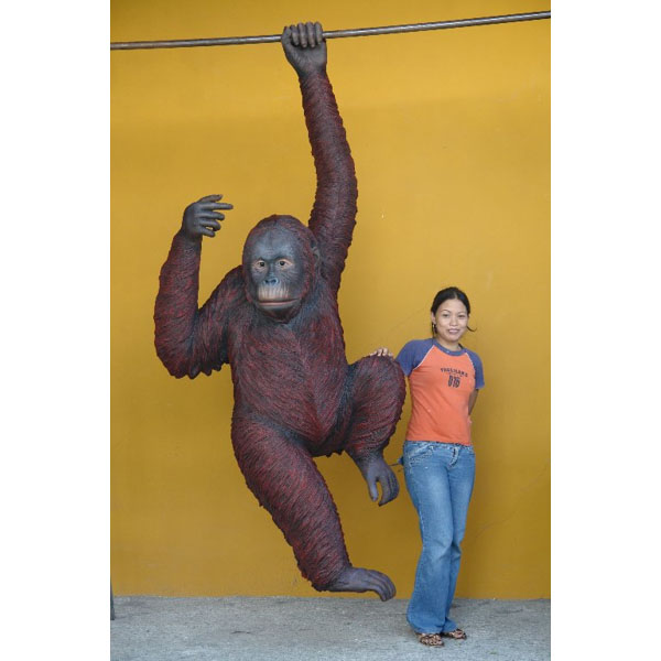 Life Size Safari Party Prop Fiberglass Orangutan Hanging