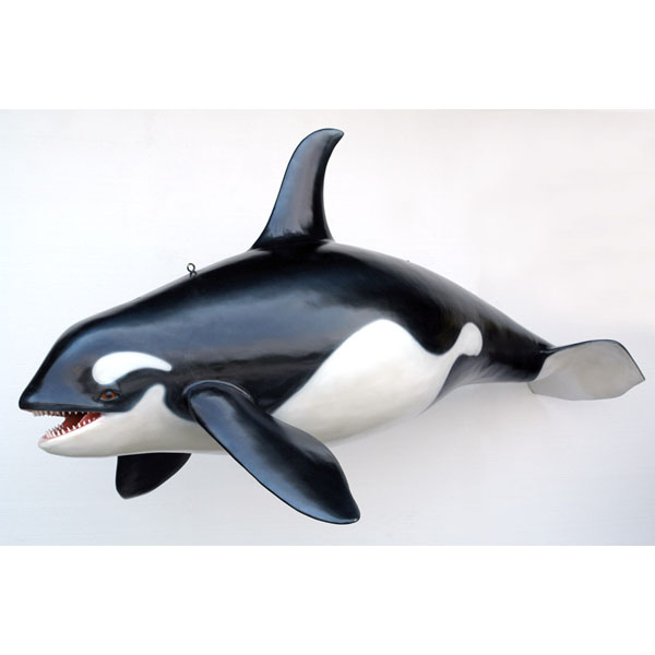Orca Whale - Click Image to Close