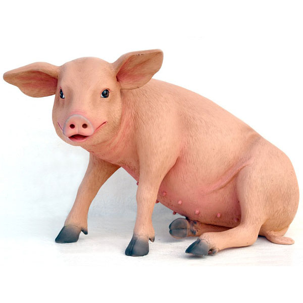 Pig Sitting