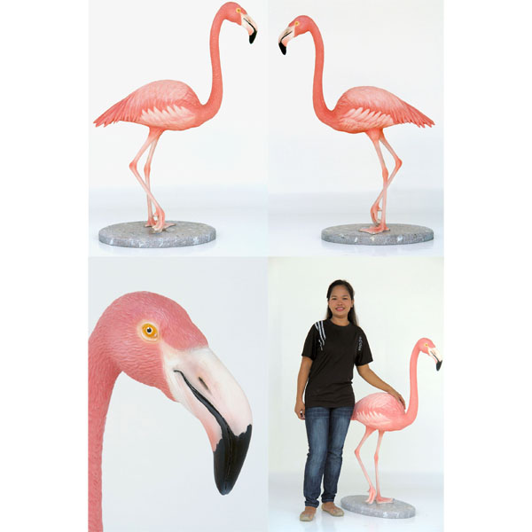 Flamingo - Click Image to Close