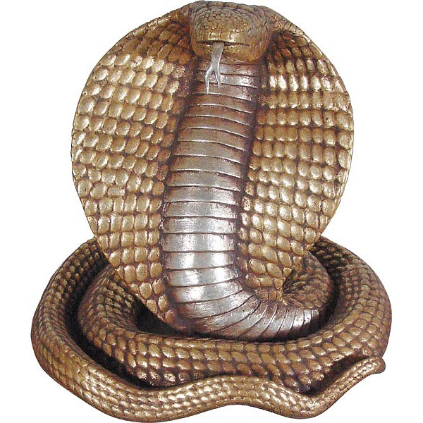 King Cobra