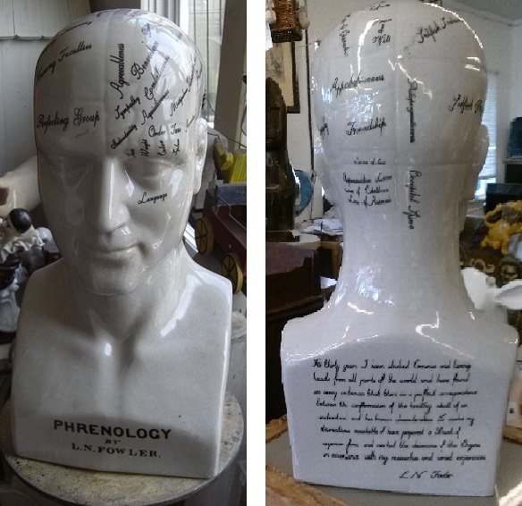Phrenology Head Statue - Click Image to Close