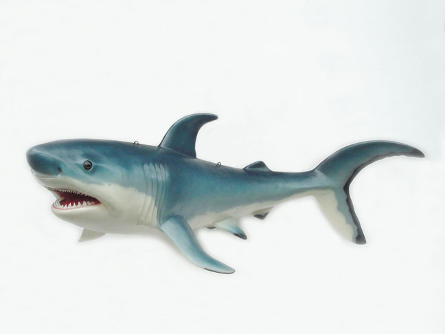 Shark 8 ft. - Click Image to Close